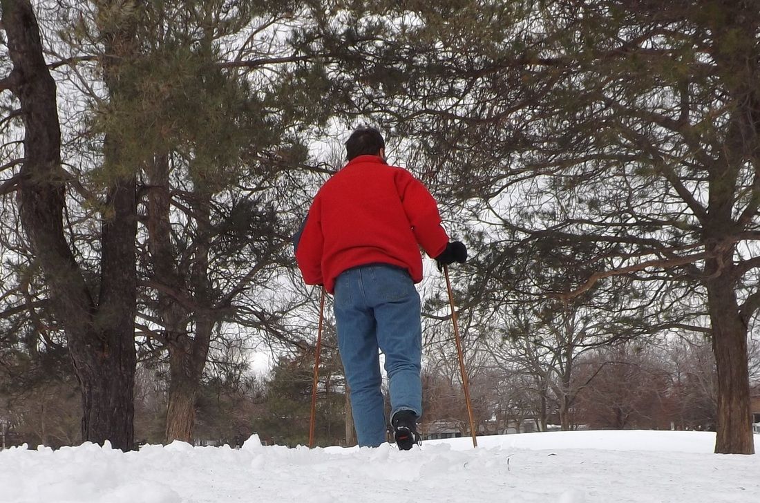 Ski de randonnée libre au parc Meunier-Tolhurst. Aussi dans tous les autres parcs du quartier...