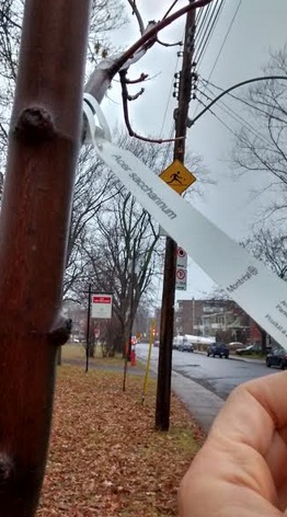 arbres près fils électriques