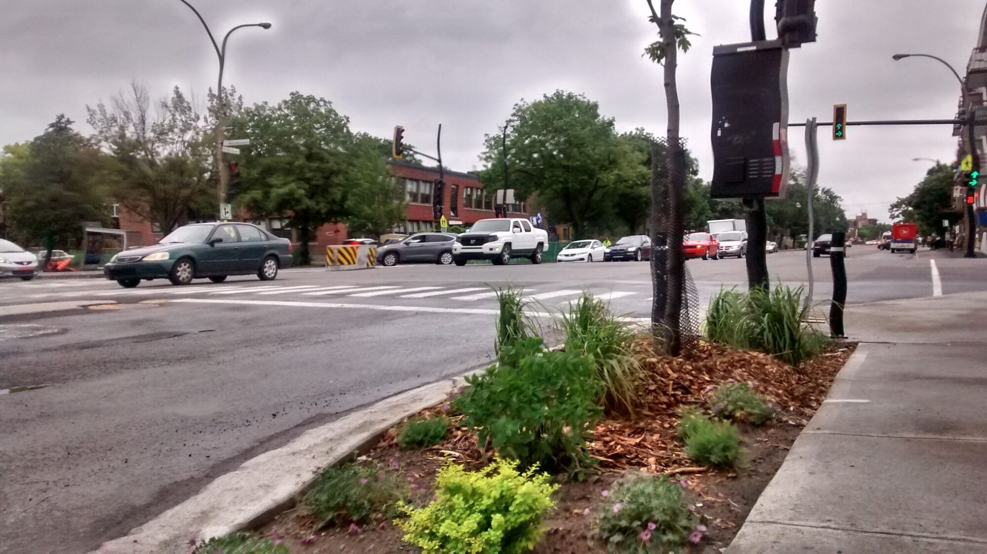 saillie végétalisée