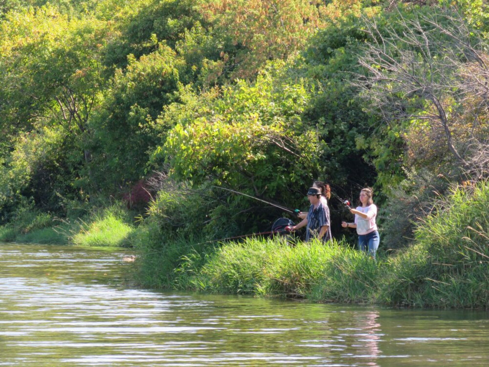 Le parc-nature de l'Île-de-la-Visitation est un bon endroit pour pêcher dans Ahuntsic-Cartierville.