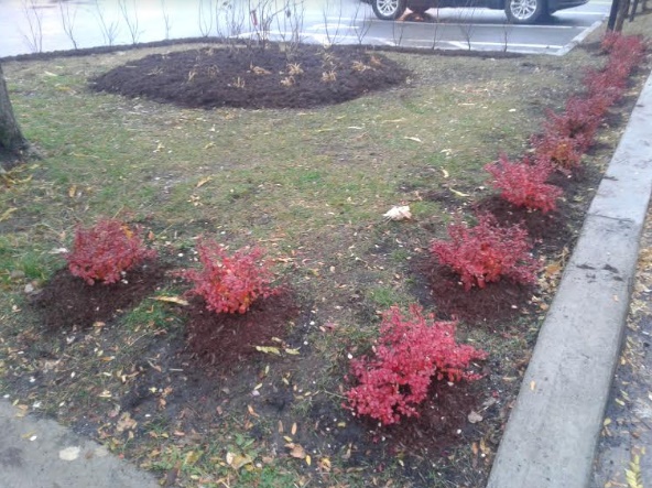 verdissement stationnement Chambord