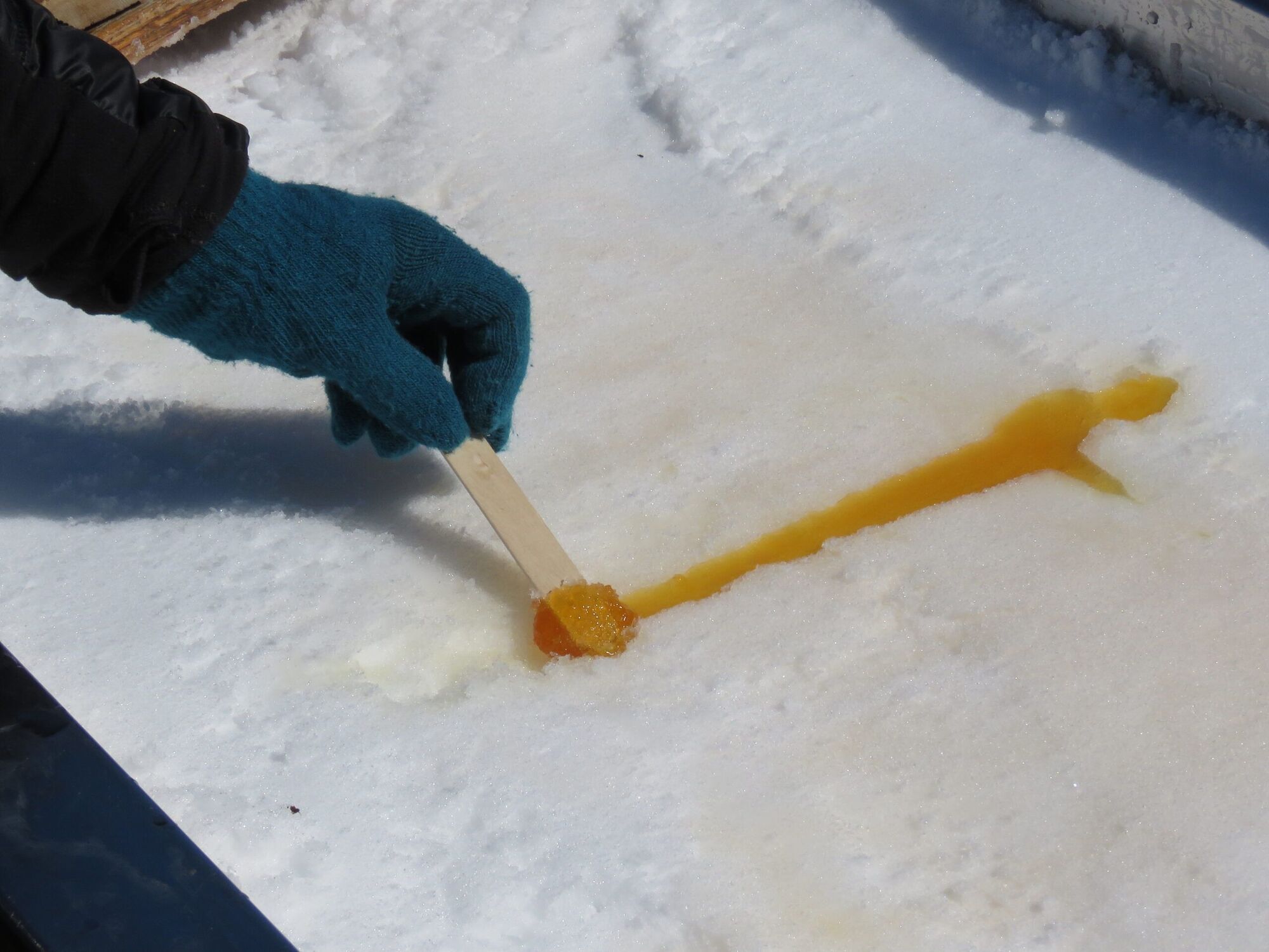 Les sucres au Flo Fest 2019 sur la rue Fleury Ouest dans Ahuntsic-Cartierville à Montréal