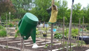 Jardin communautaire