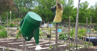 Jardin communautaire
