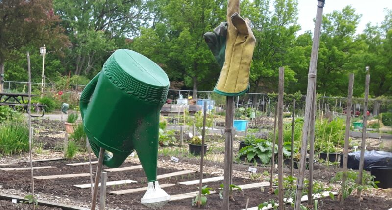 Jardin communautaire