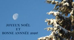 joyeux noel et bonne année