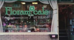 Floramicale_Promenade