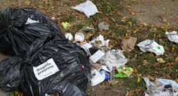 Rue Millen brigade propreté non ramassé