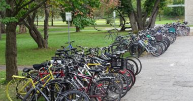 vélos à Sophie-Barat (2) Photo PR