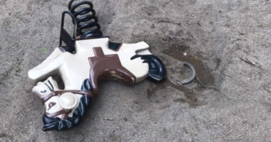 Cheval à ressort brisé, parc Nicolas-Viel