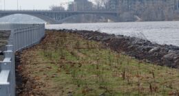 Enrochement barrage Simon-Sicard à Sophie-Barat PR (1)b