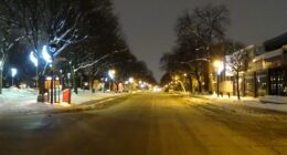 parc fleury ouest vide covid