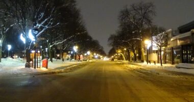 parc fleury ouest vide covid