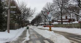 Piste cyclable dans la neige