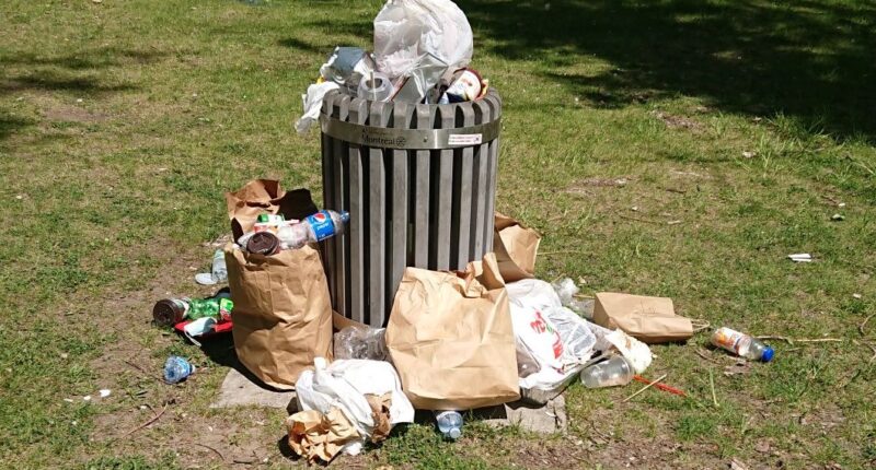 Une poubelle déborde à l'Île Perry au grand désarroi des passants