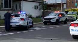 image_6483441 collision hogue prieur photo josée bellemare