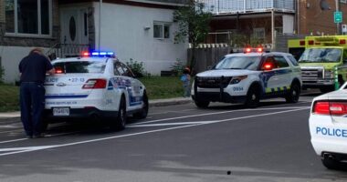 image_6483441 collision hogue prieur photo josée bellemare