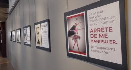 Exposition de dessins sur la violence faite aux femmes