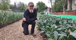 Réal Migneault devant une planche de kale