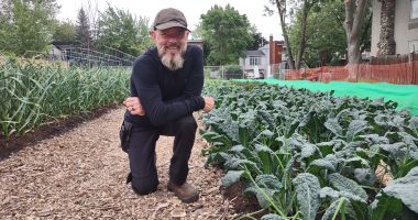 Réal Migneault devant une planche de kale