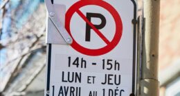 Stationnement interdit au printemps