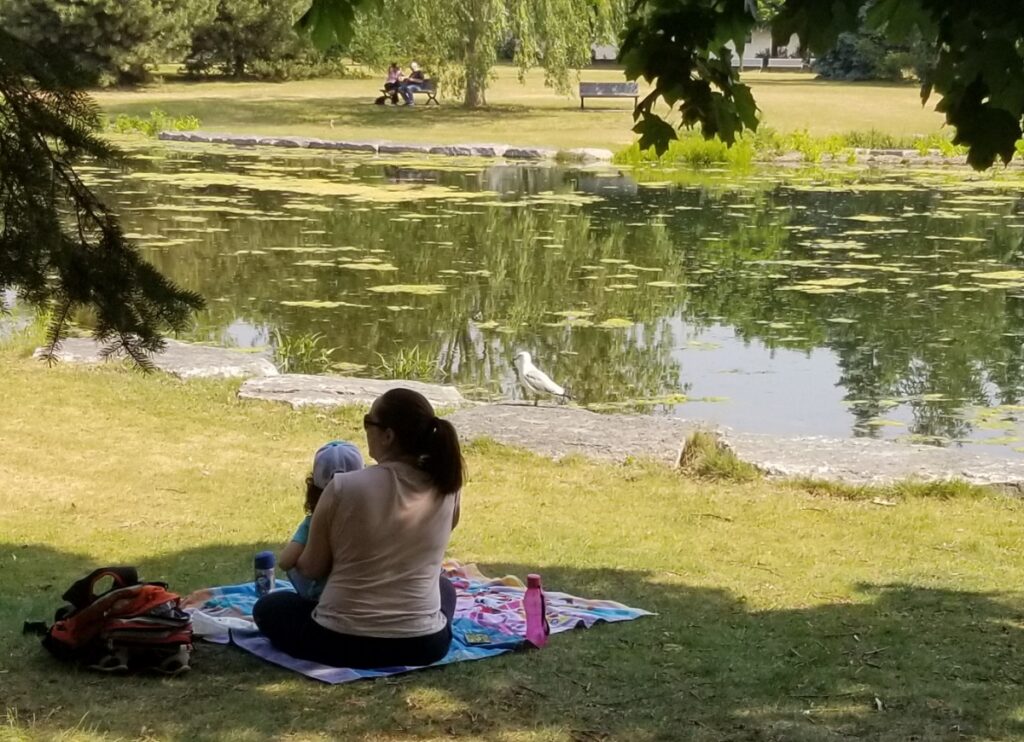 étang du parc Ahuntsic
