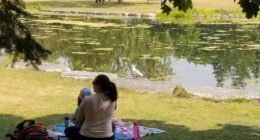 étang du parc Ahuntsic