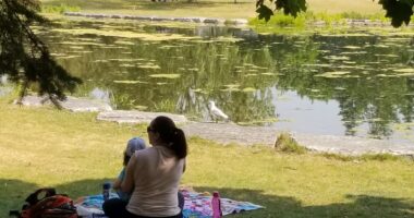 étang du parc Ahuntsic