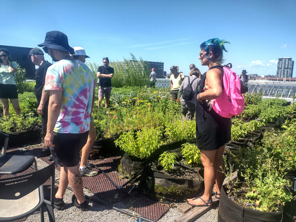 Tournées agricultures montréalaises