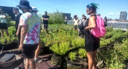 Tournées agricultures montréalaises