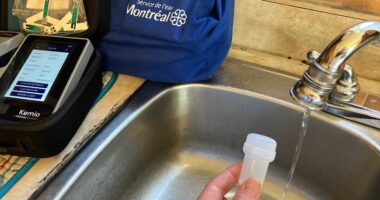 depistage eau plomb entrée