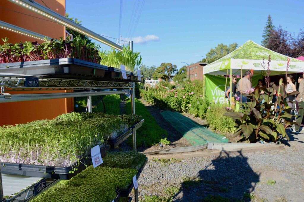 Au total, il y a trois marchés solidaires de Ville en vert dans Ahuntsic-Cartierville.