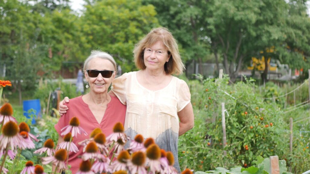 Giroux Laberge jardin communautaire Ahuntsic