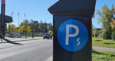 Borne de stationnement au complexe sportif Claude-Robillard
