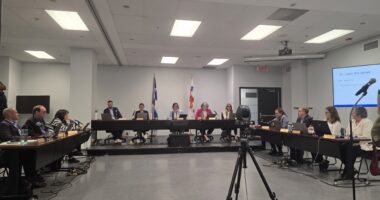 conseil d'arrondissement 5 mai 2025