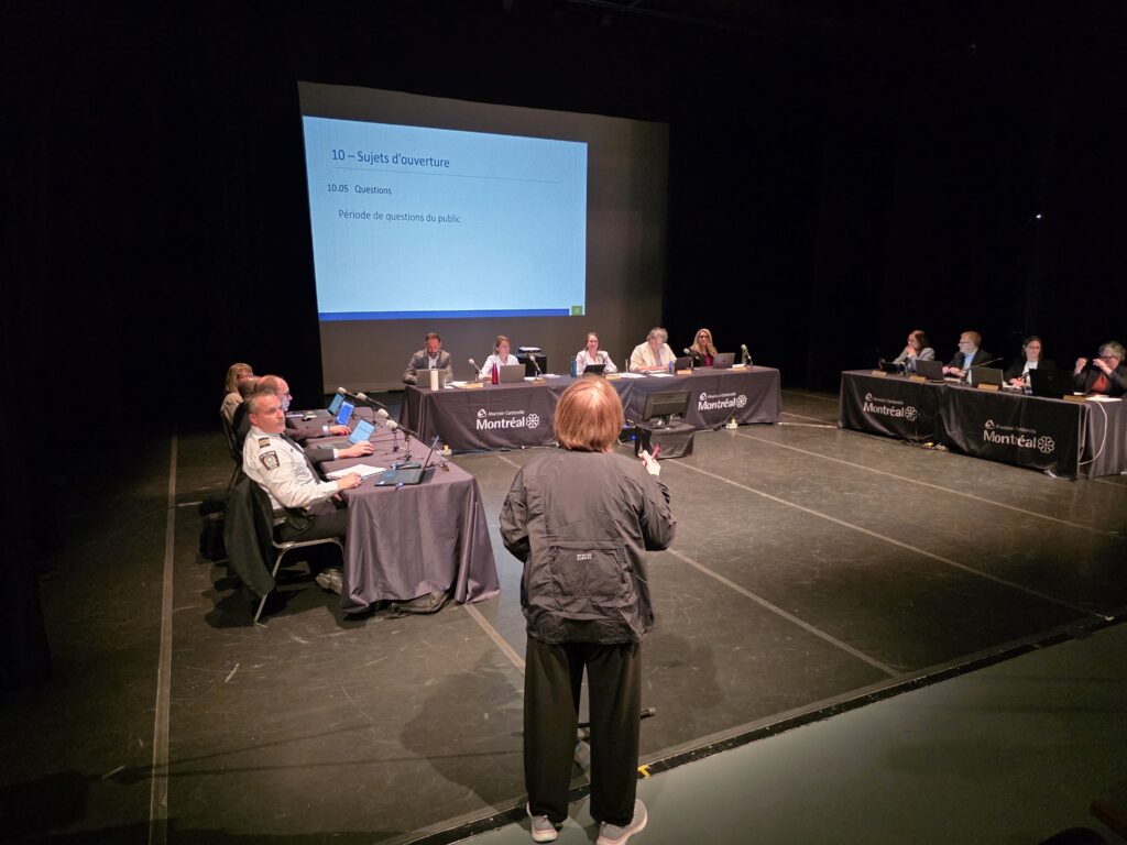 Conseil d'arrondissement du 2 juin 2025