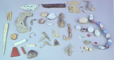 Collection d'objets choisis de Fort-Lorette