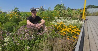 Marc-André Carignan au milieu de la prairie