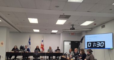 Conseil d'arrondissement DeSousa