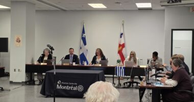 Conseil d'arrondissement du 16 mars