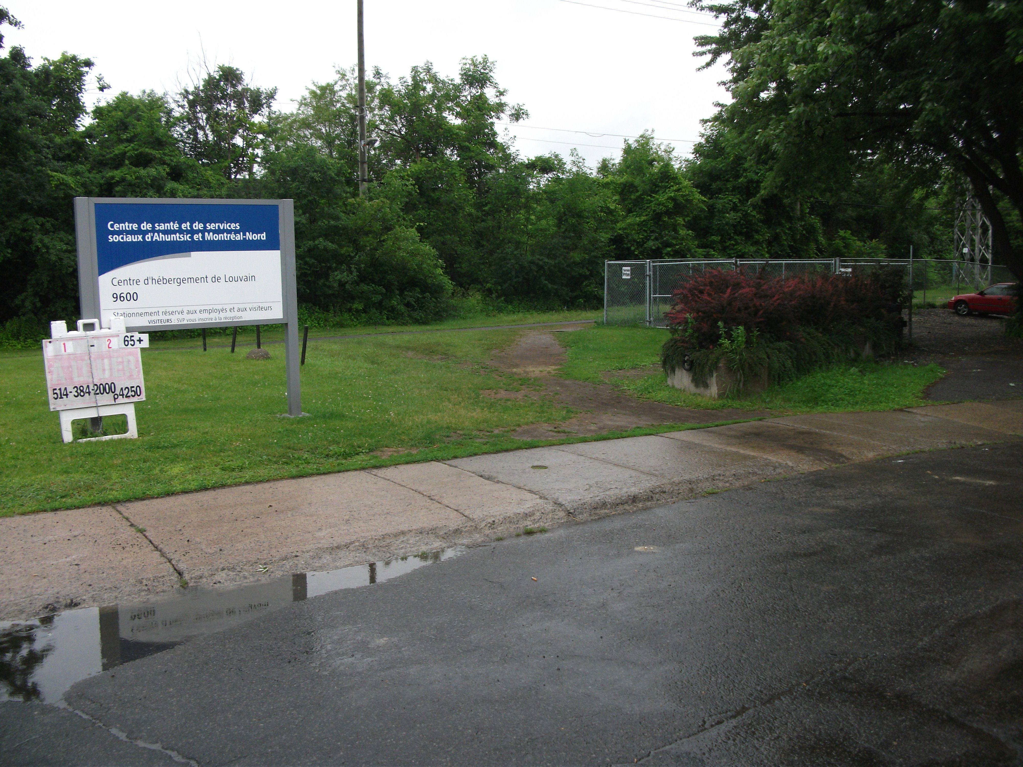 Le boisé avant la maîtrise de la végétation réalisée par Hydro-Québec.