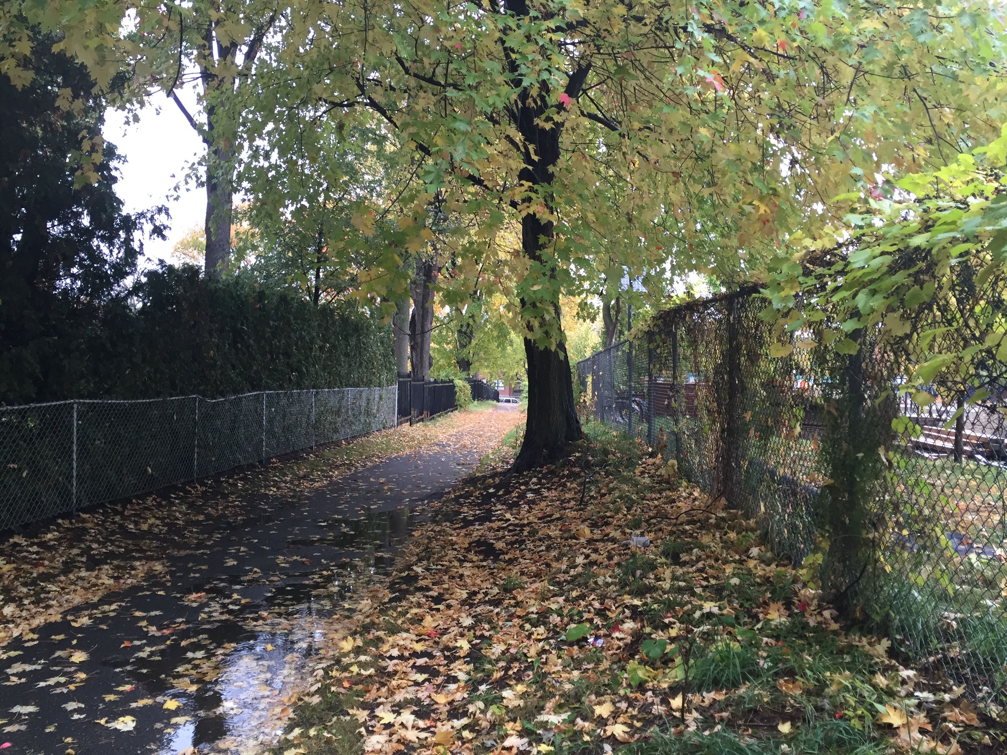 Sentier des Amérindiens (Photo: Mélanie Meloche-Holubowski)