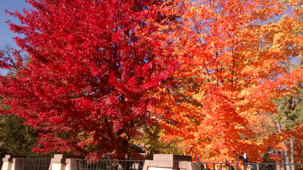 img_20161019_095601413