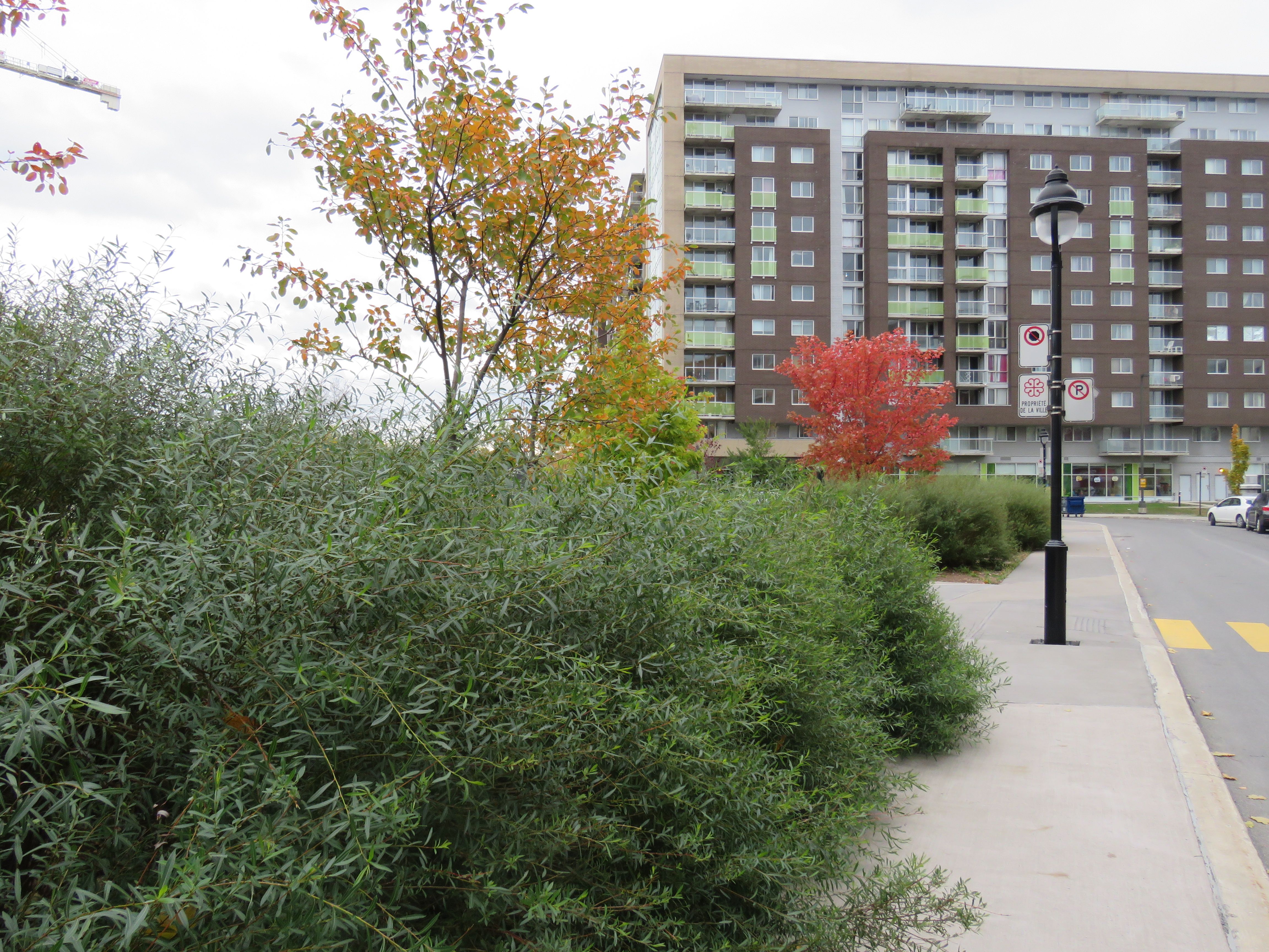 parc-roland-giguere-009