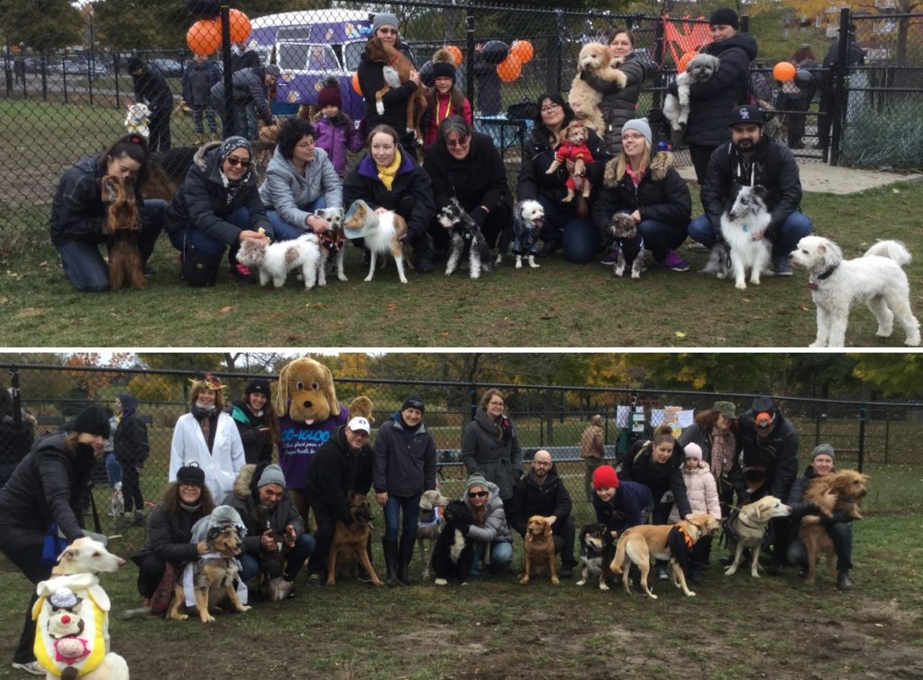 parc-canin-ahuntsic-halloween-2016