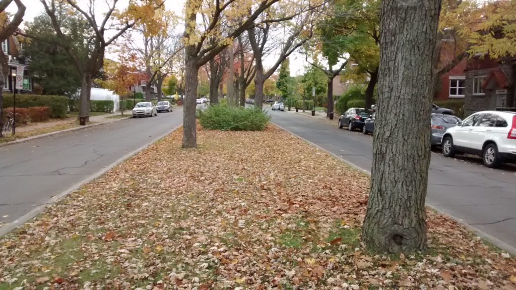 img_20161101_093834356