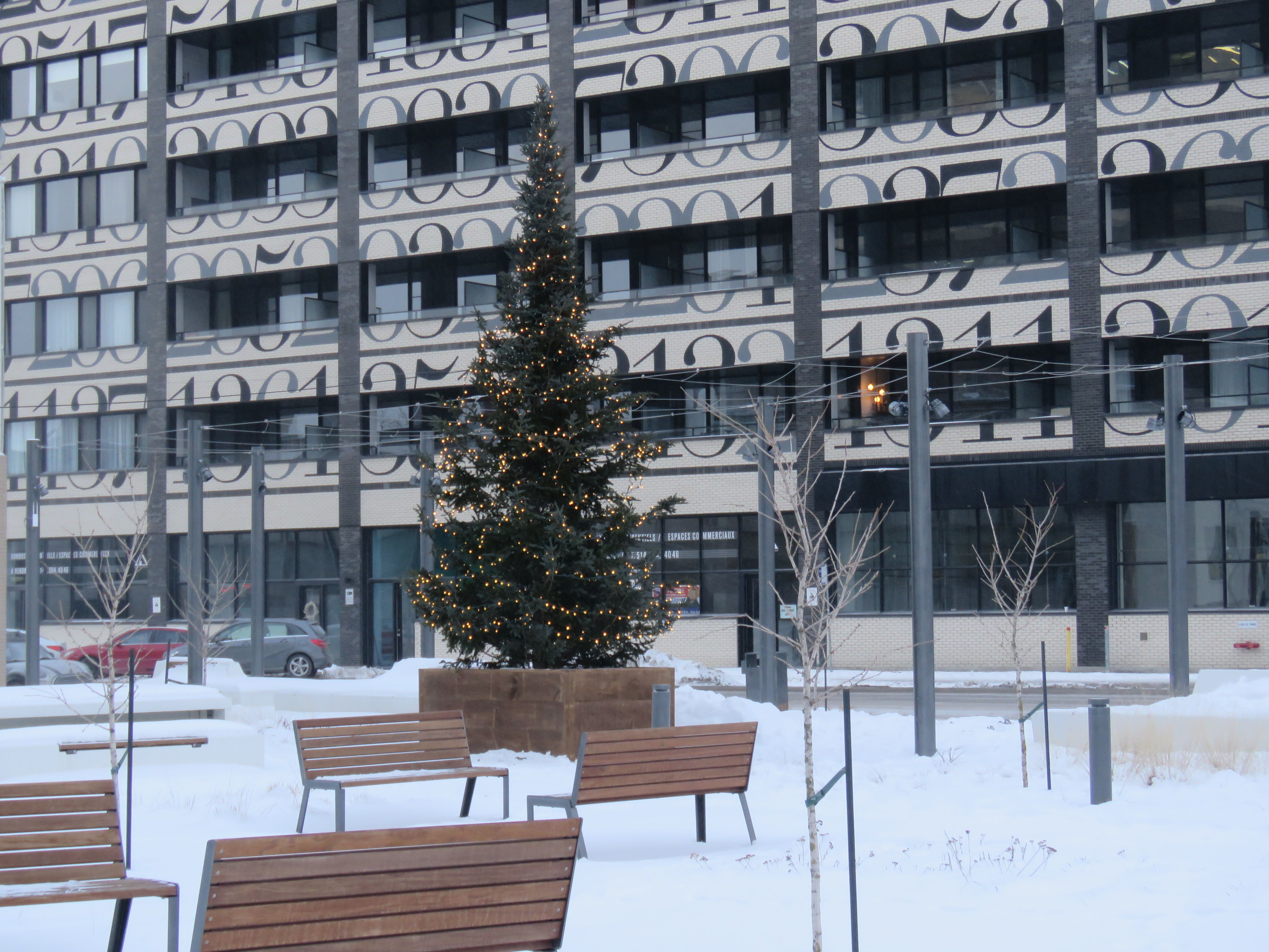 sapins-arrondissement-017