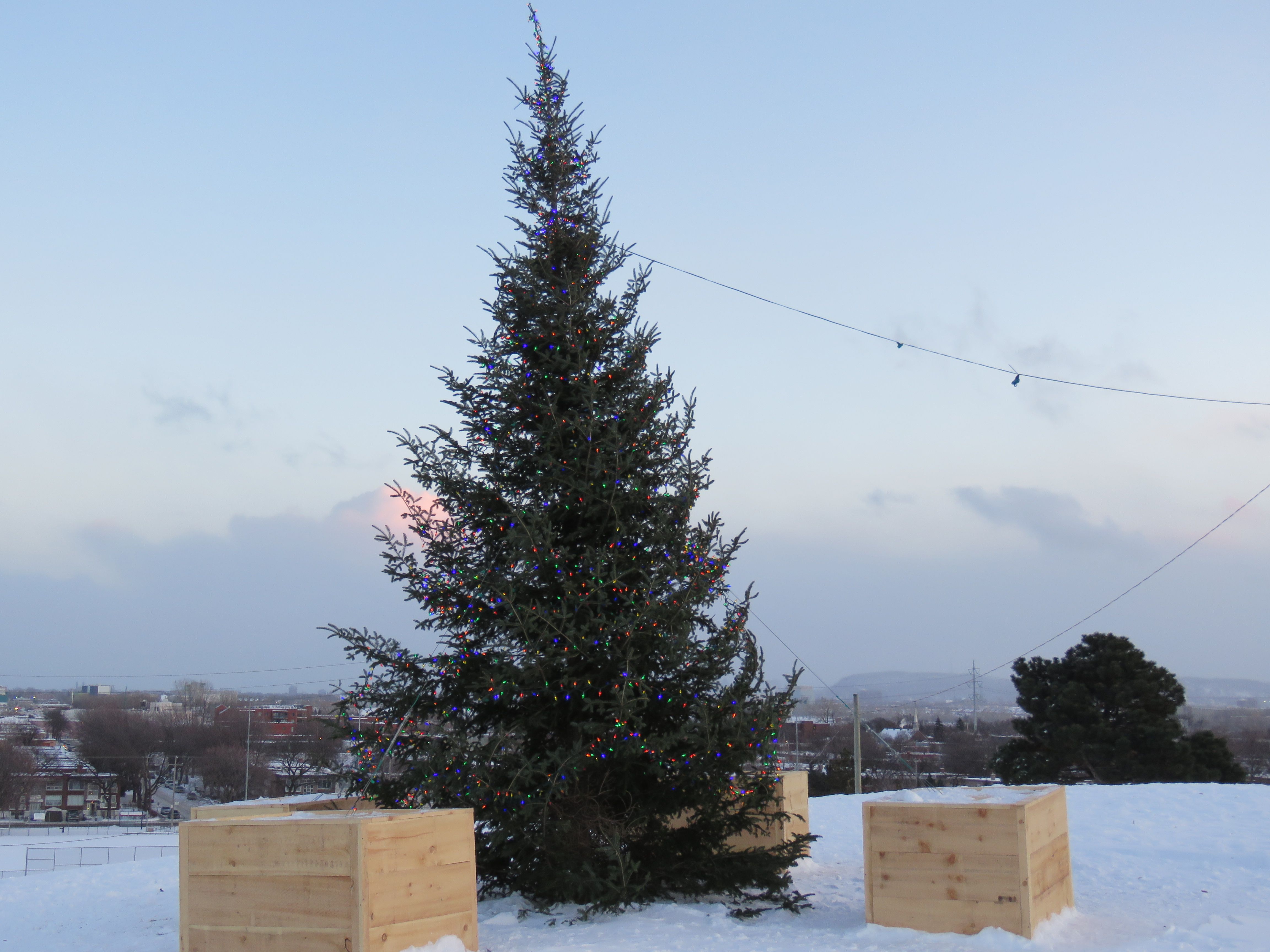 sapins-arrondissement-021