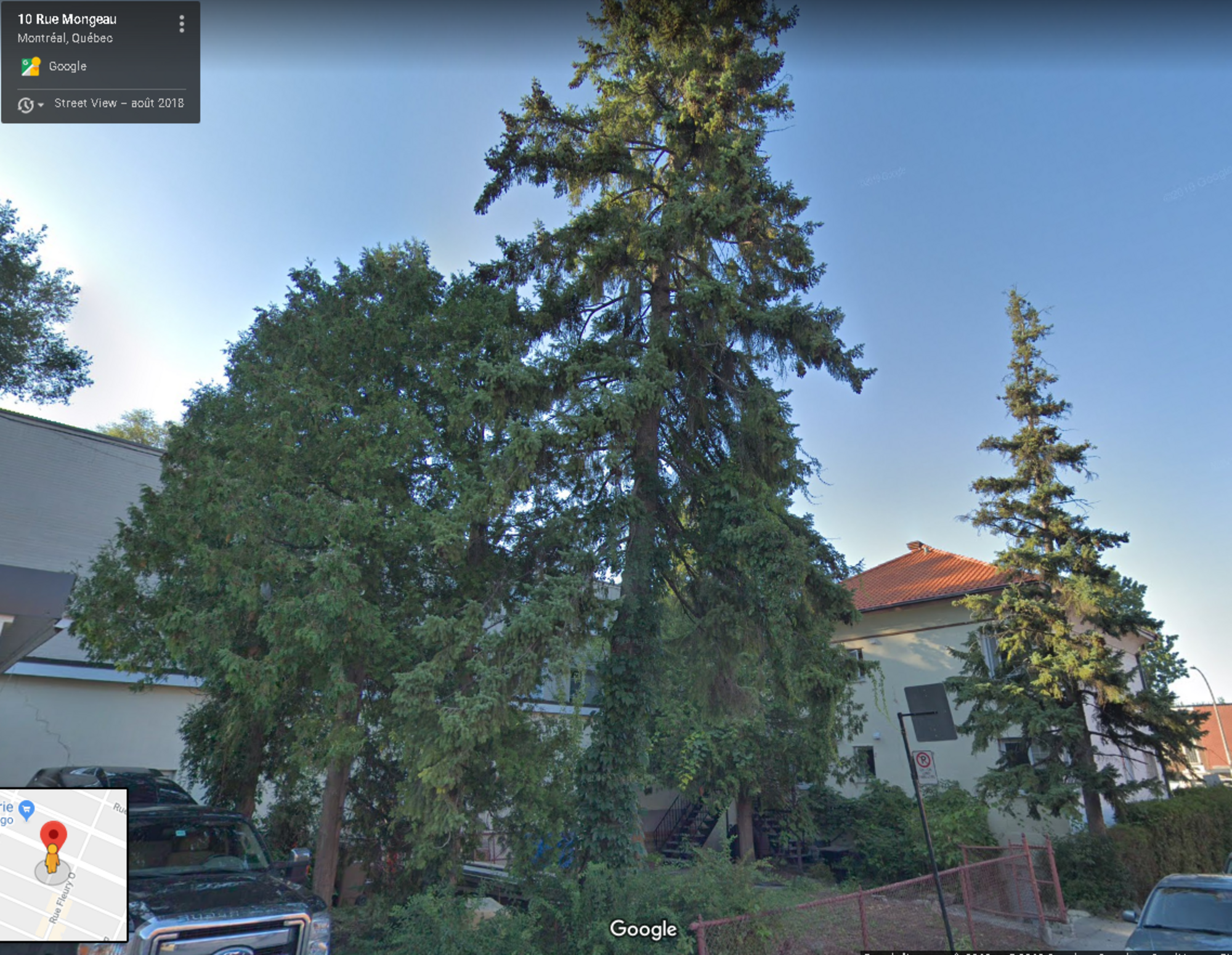 Au 10 rue Mongeau avant abattage des arbres (Photo : Googlemaps) Ahuntsic Cartierville Montréal