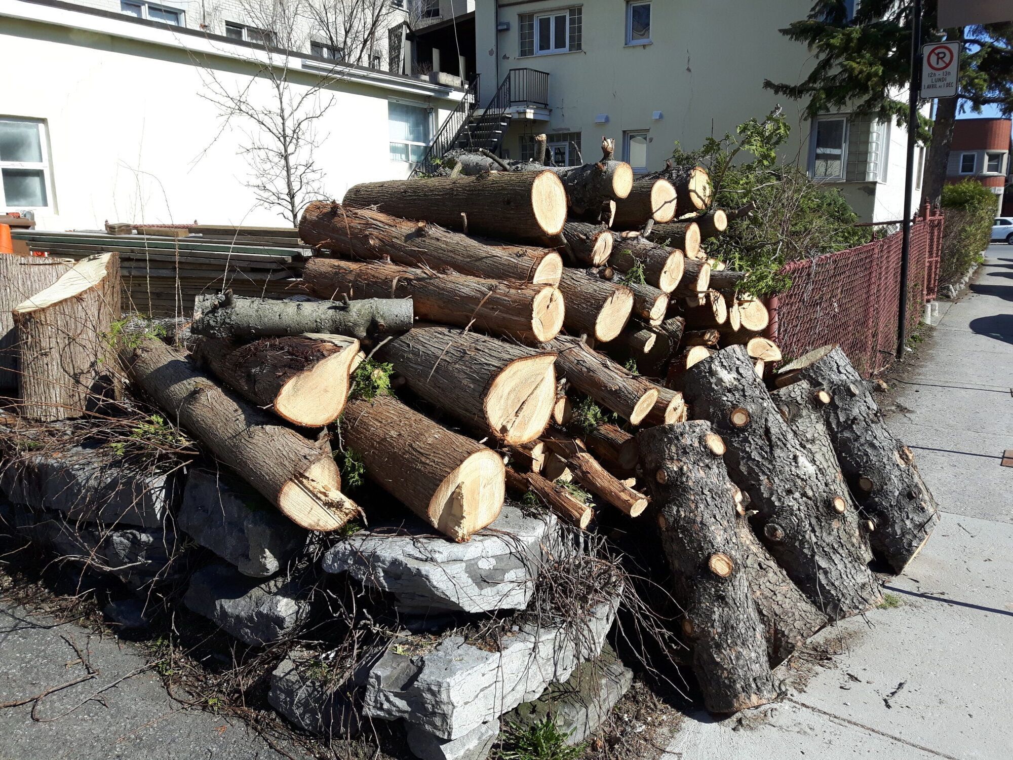 Au 10 rue Mongeau après abattage des arbres (Photo : Courtoisie) Ahuntsic Cartierville Montréal